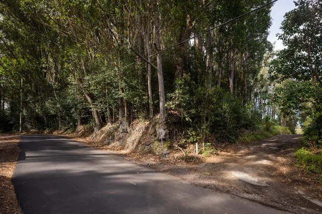 a view of street and with trees