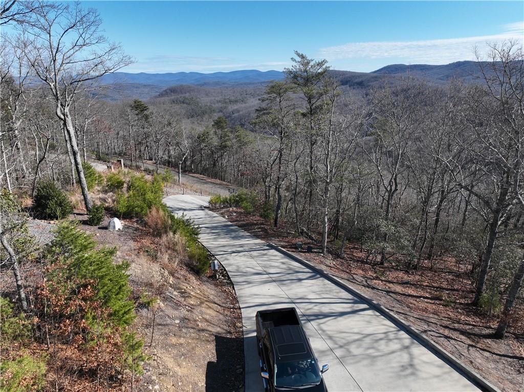 2175 Andes Ridge Talking Rock, GA 30175 - Photo 12 of 51 a view of a back yard