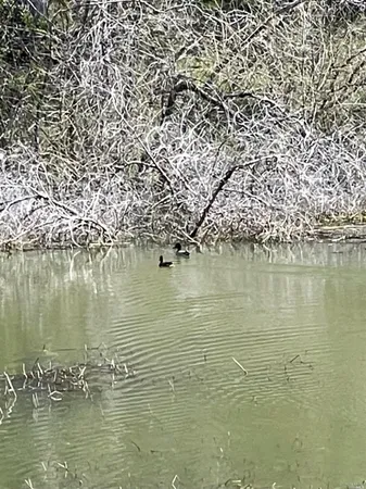 $150,000 | 9650 Rocky Creek Road, Lower Lake, CA 95457