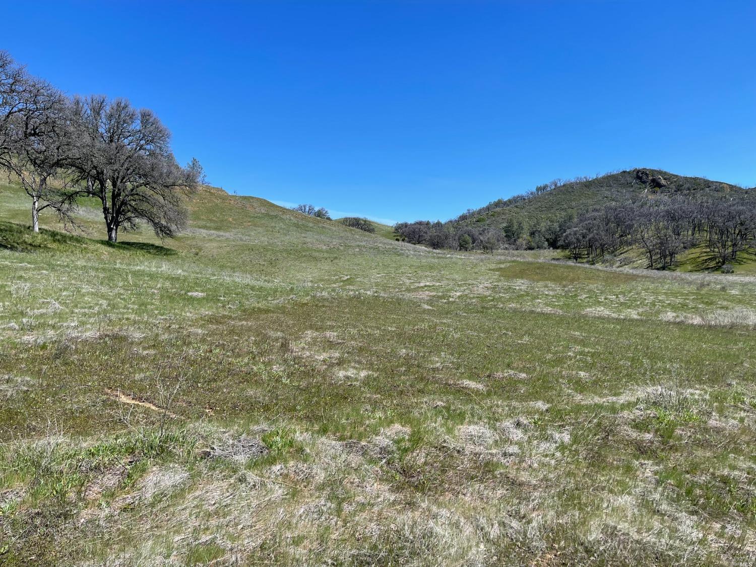 9650 Rocky Creek Road Lower Lake, CA 95457 - Photo 12 of 21