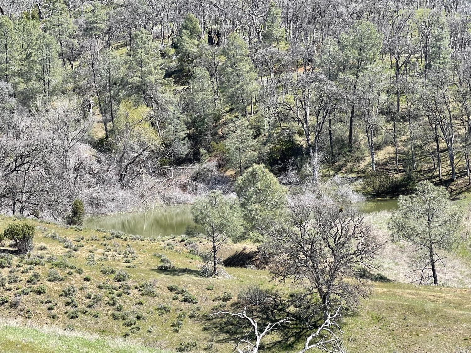 9650 Rocky Creek Road Lower Lake, CA 95457 - Photo 4 of 21