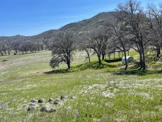 a view of a yard with a tree