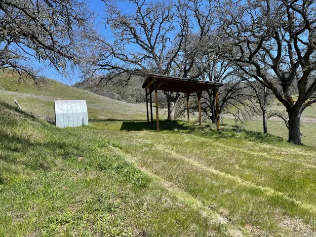 a view of a yard with a tree