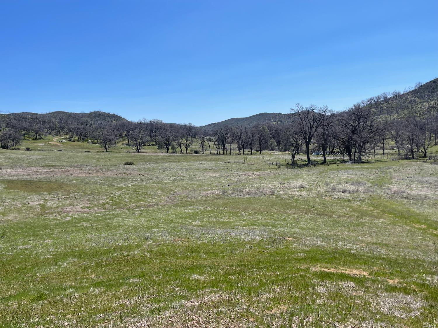 9650 Rocky Creek Road Lower Lake, CA 95457 - Photo 9 of 21