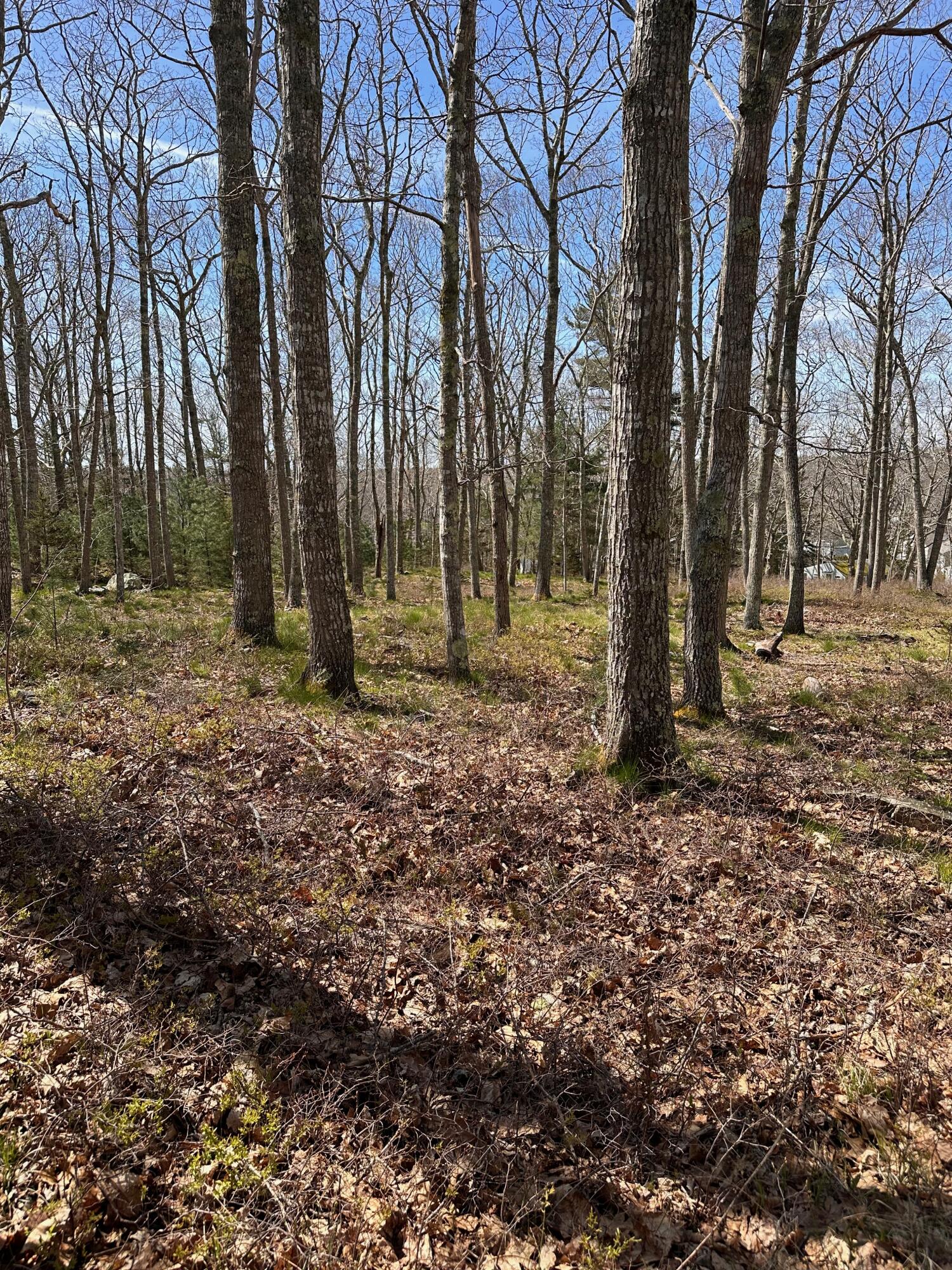30 Gaffney Hill Road New Harbor, ME 04554 - Photo 5 of 10 IMG_6457