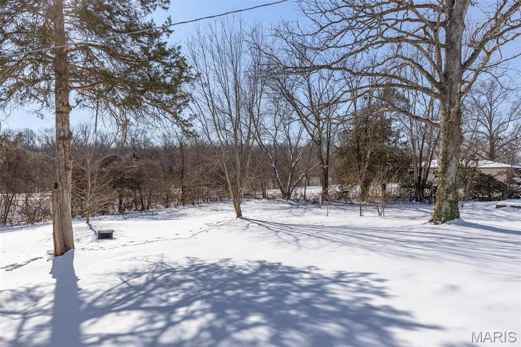 9532 Berry Road Bonne Terre, MO 63628 - Photo 28 of 66