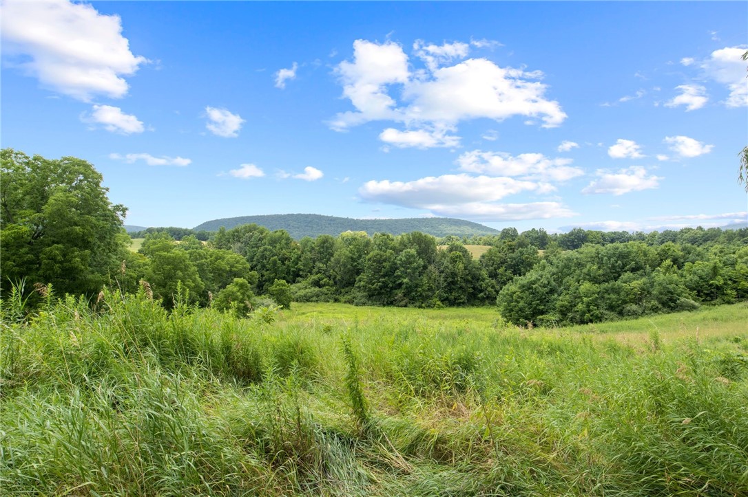 8804 State Rte 21 Naples, NY 14512 - Photo 6 of 23