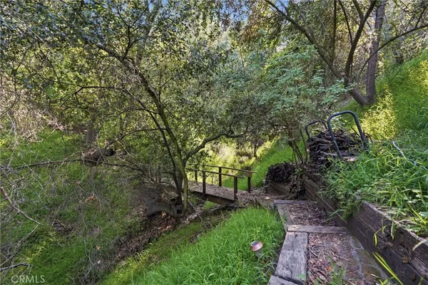 a view of a street with a tree in front of the house
