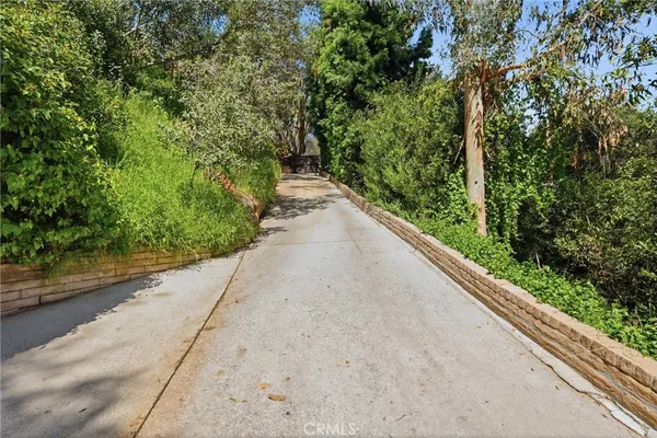 a view of a lush green hillside and a houses