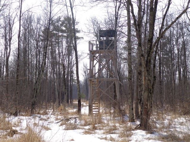 66 Stevens Point Stevens Point, WI 54481 - Photo 1 of 1