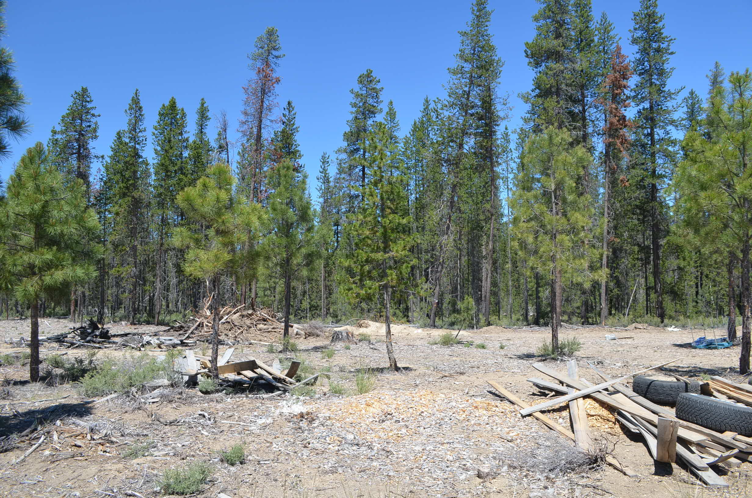 132860 Highway 97 Crescent, OR 97733 - Photo 22 of 25 a view of a fire pit with trees around