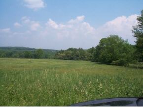 2015 Route Sr Kingsley, PA 18813 - Photo 3 of 4