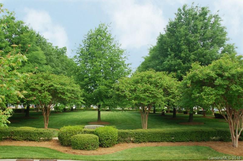 8117 Strandhill Road Huntersville, NC 28078 - Photo 32 of 36 a view of a garden with a tree