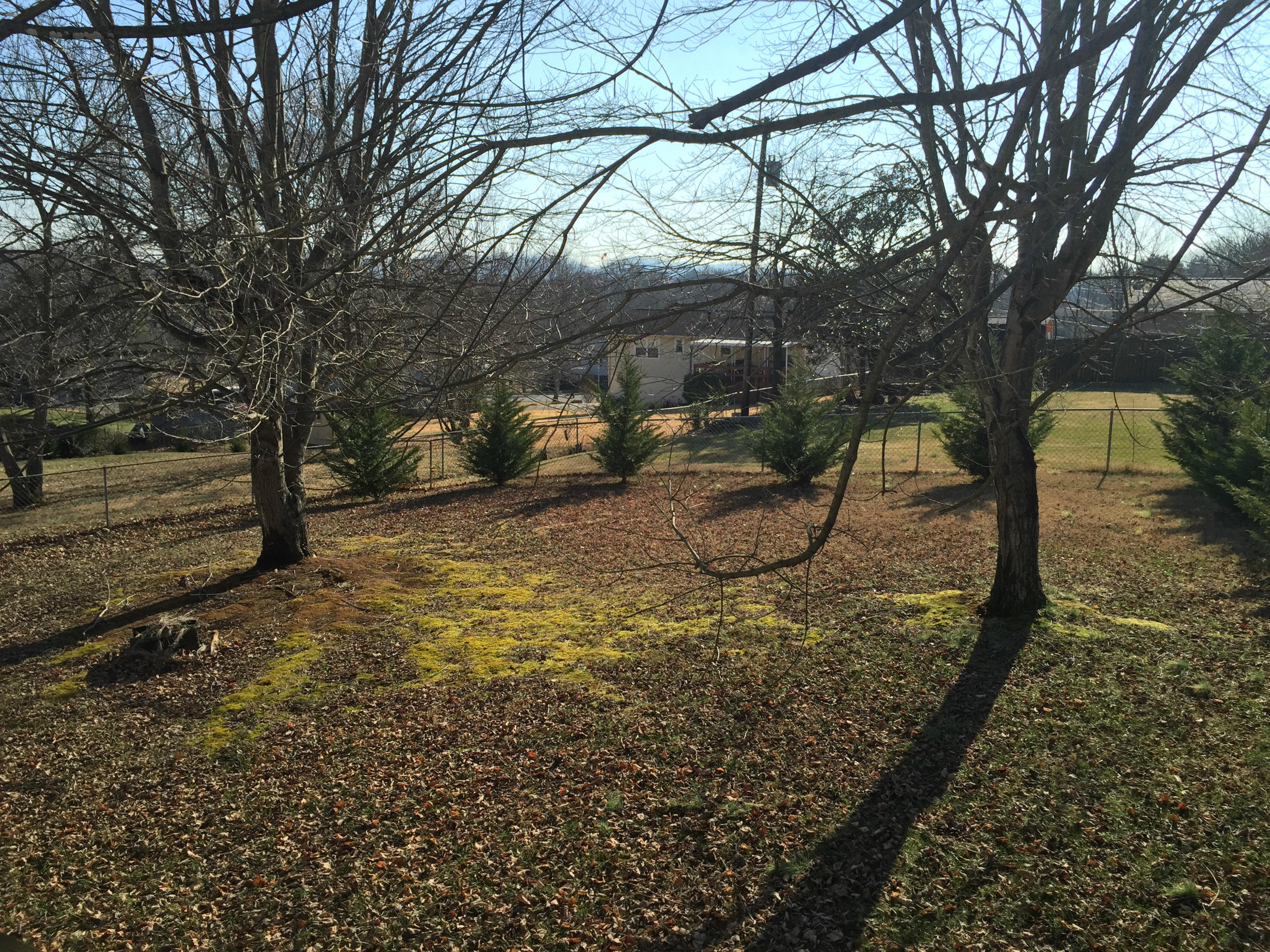 7761 Ashley Road Powell, TN 37849 - Photo 27 of 27 IMG_1952