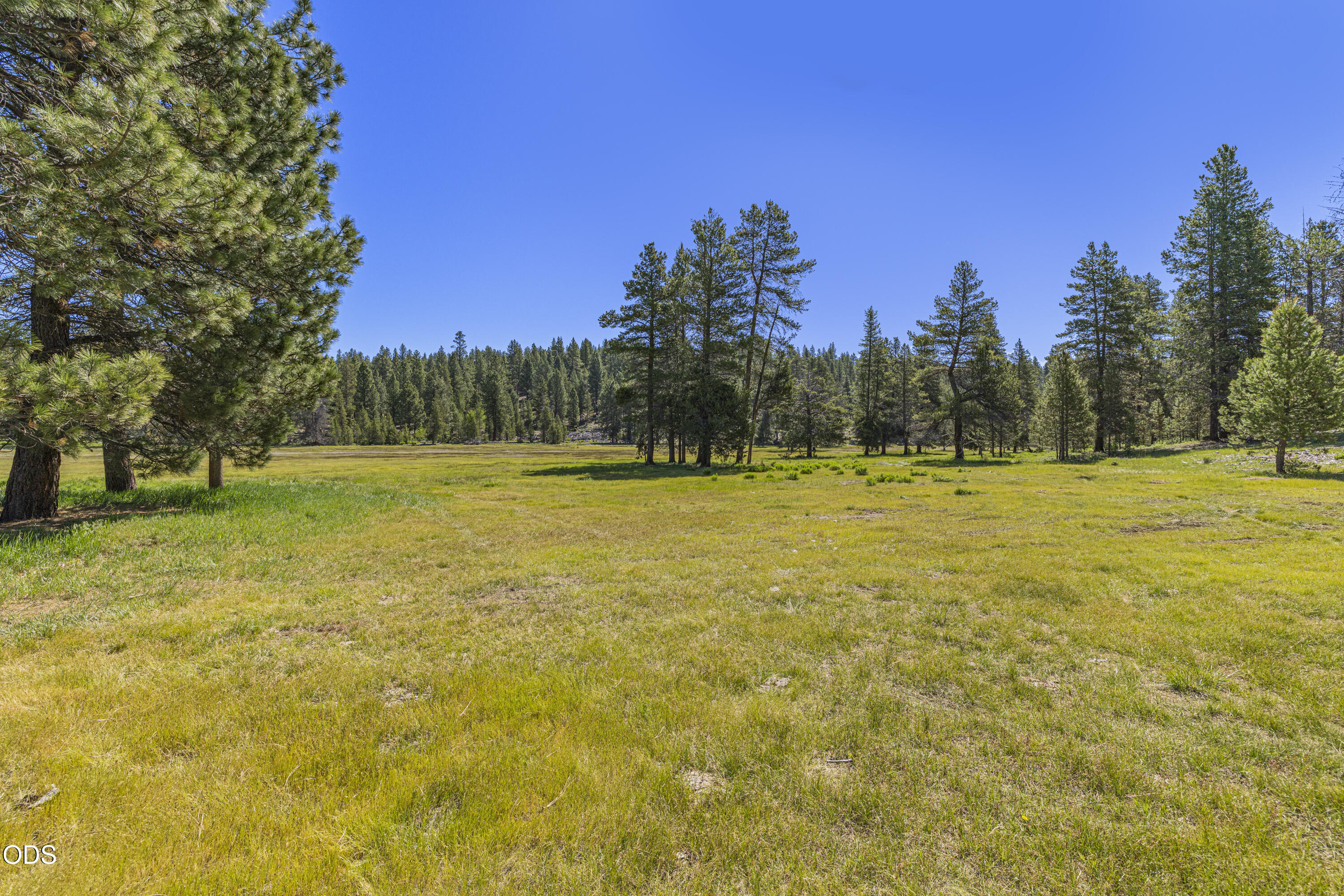 Williamson River Road, Unit 206226 Chiloquin, OR 97624 - Photo 5 of 50