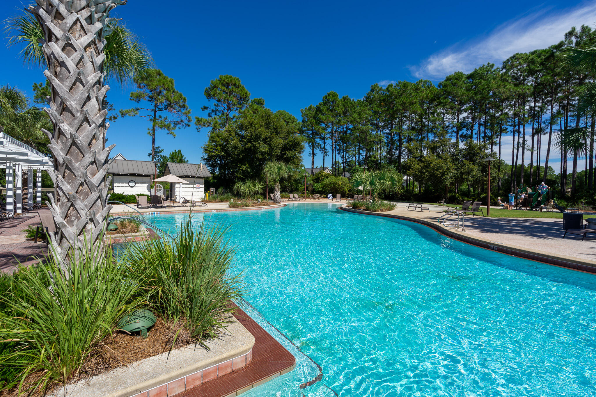 229 Sandchase Circle Inlet Beach, FL 32461 - Photo 92 of 107 Amenities - Community Pool