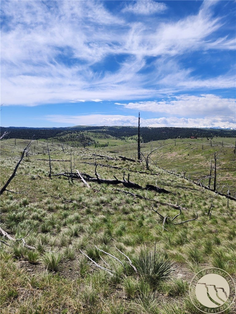 Lot 201 Haystack Coulee Road Reed Point, MT 59069 - Photo 1 of 3 Gallery Image 1