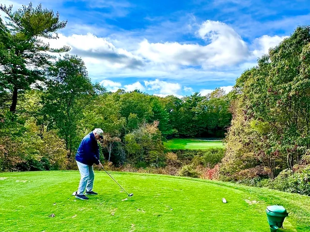 a view of a garden with a slide
