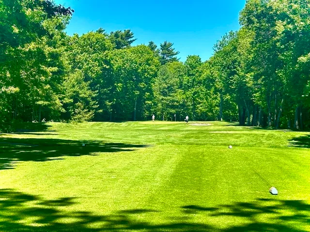 a white toilet sitting next to a bath tub