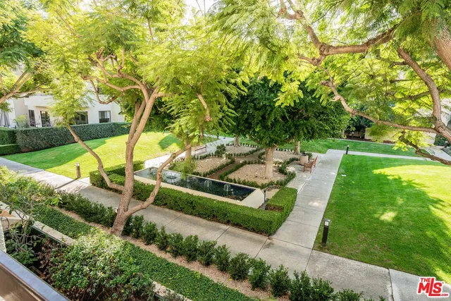 a view of a backyard with plants and a garden