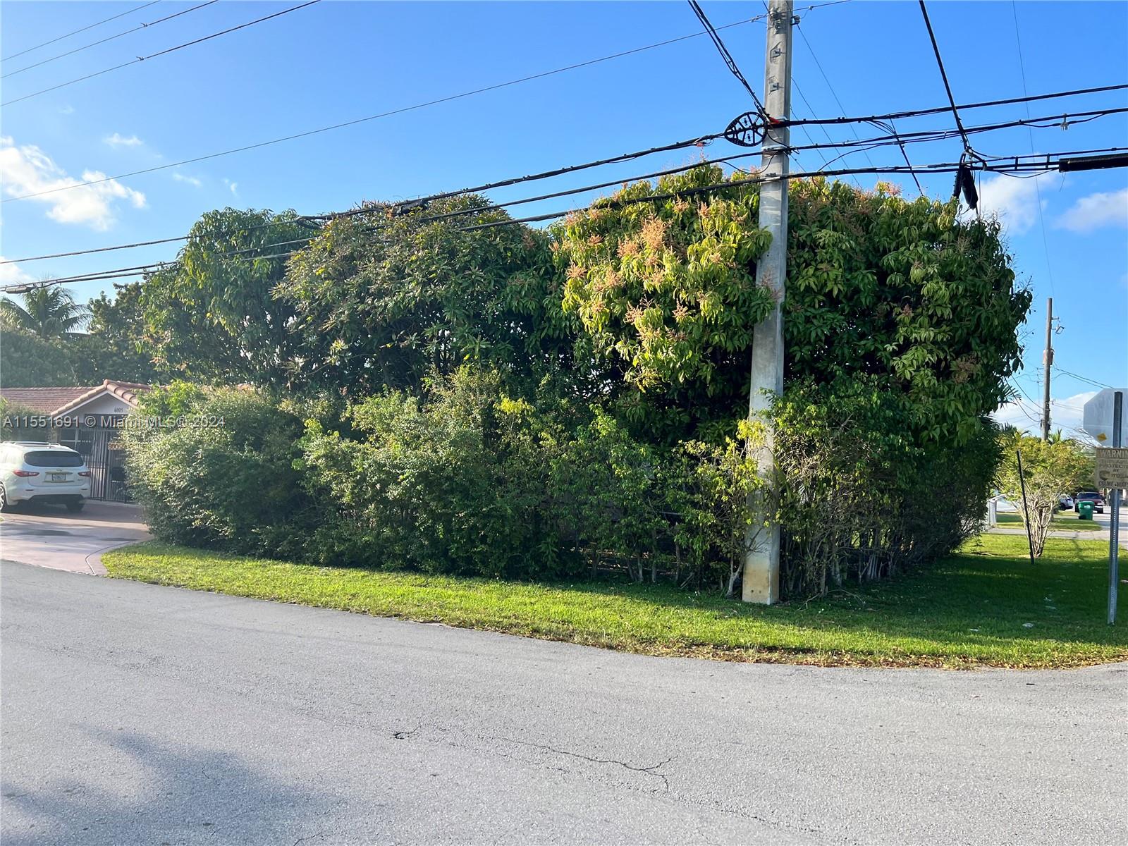 6005 Southwest 22nd Street Miami, FL 33155 - Photo 35 of 36 a view of a yard with plants