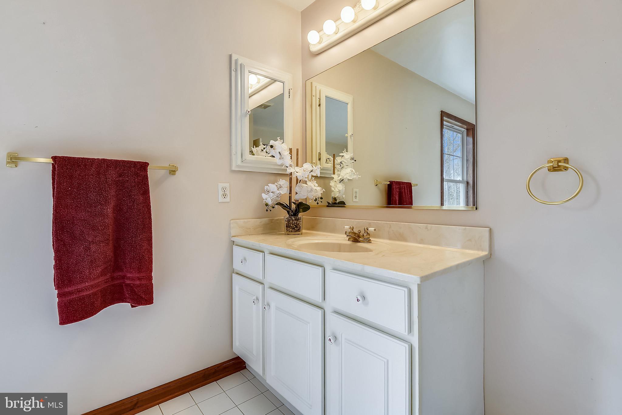 10145 3rd Point Road Chestertown, MD 21620 - Photo 24 of 27 Master Bath