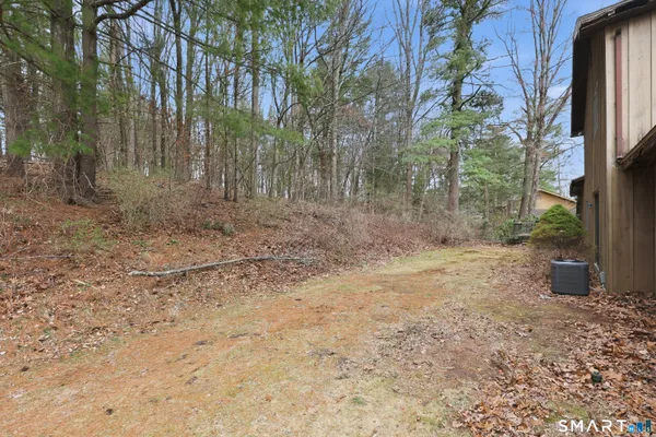 a view of a yard with a tree