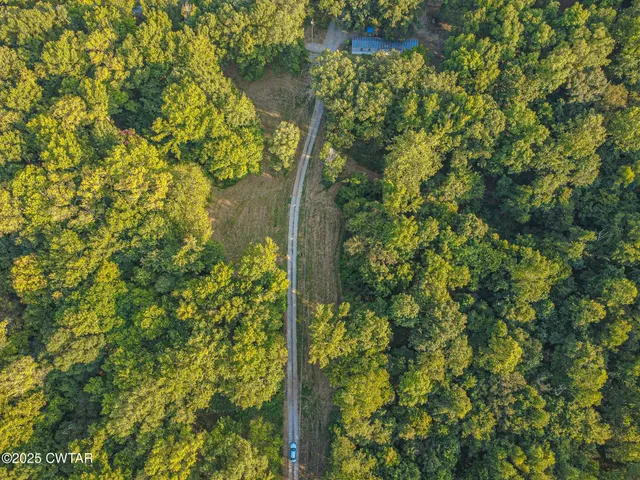 a view of a lake with a tree