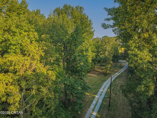 a view of a lush green space