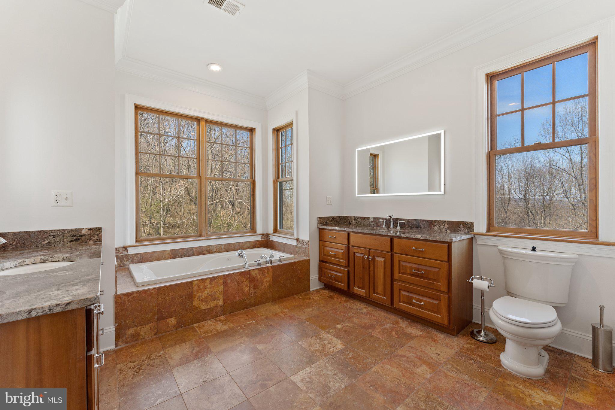 5536 Free State Road Marshall, VA 20115 - Photo 41 of 72 Spacious main floor master bathroom