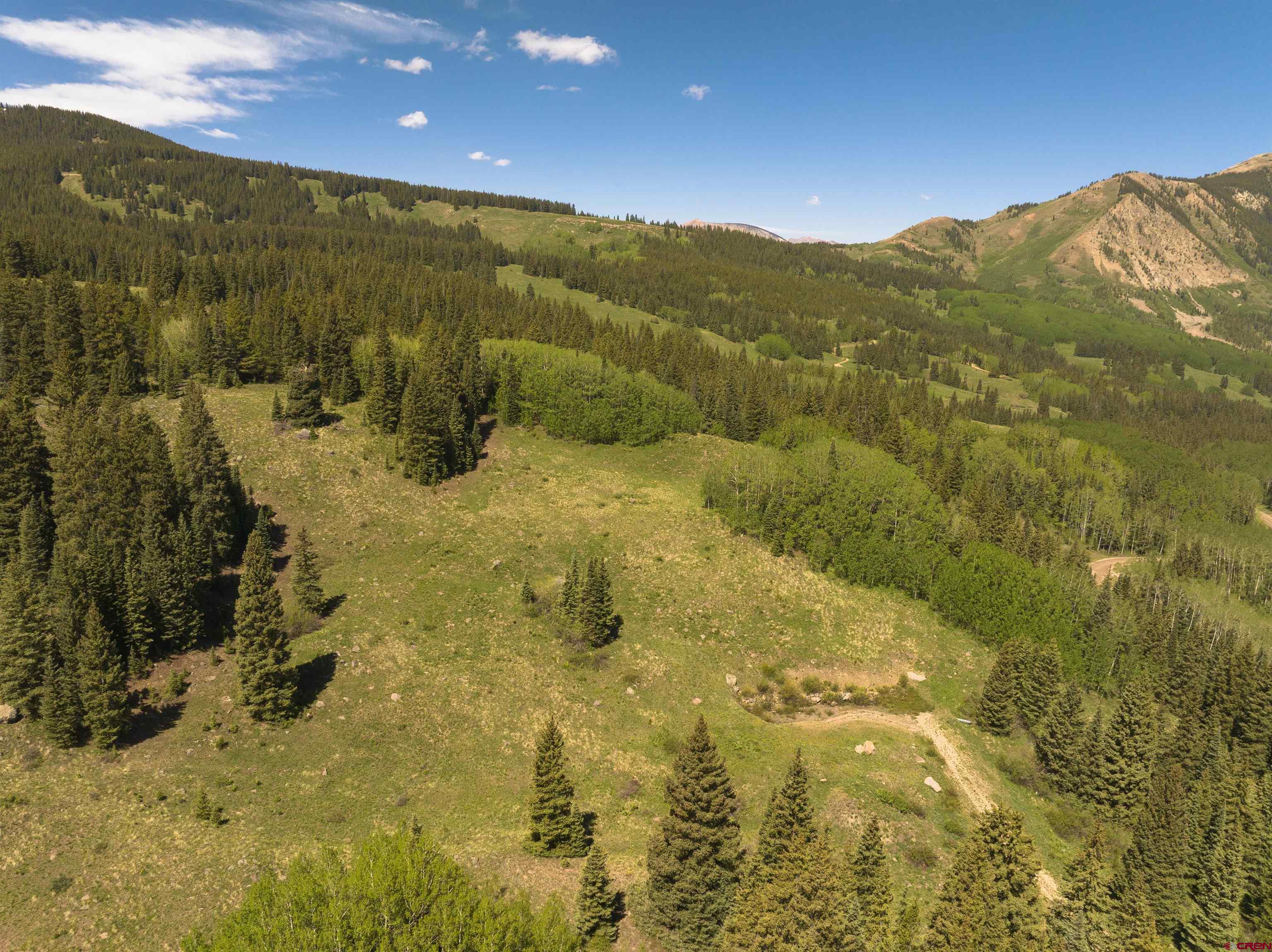 1371 Red Mountain Ranch Road Crested Butte, CO 81224 - Photo 11 of 41