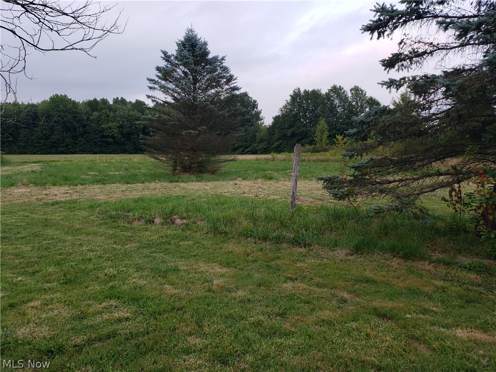 1060 Storey Road Orwell, OH 44076 - Photo 8 of 18