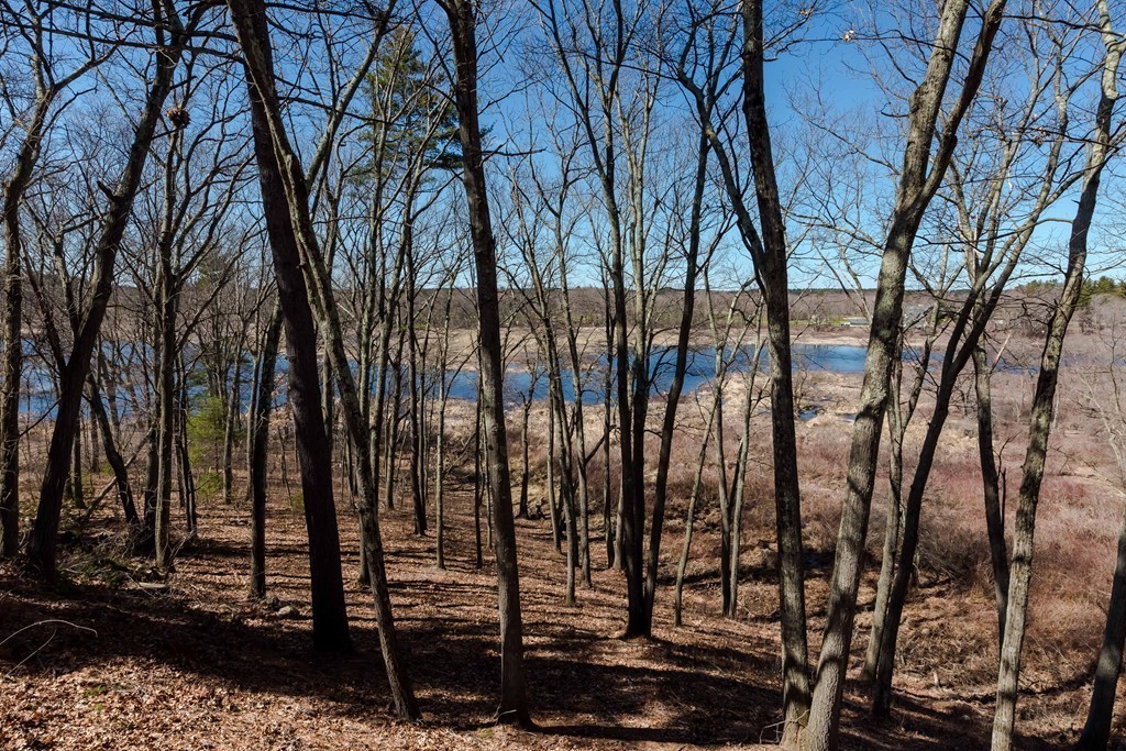 30 Hampshire Road Wayland, MA 01778 - Photo 20 of 23