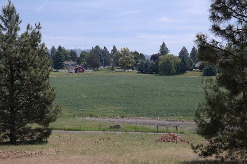 0 South Regal Road Spokane, WA 99223 - Photo 1 of 4