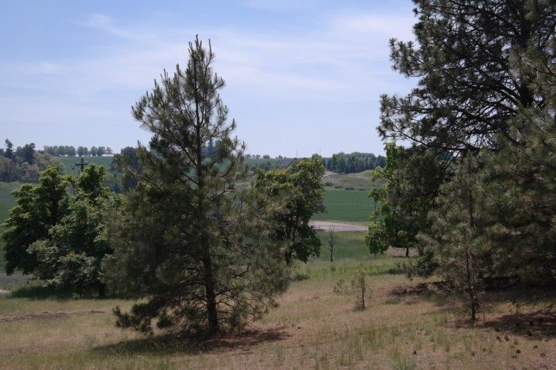 0 South Regal Road Spokane, WA 99223 - Photo 3 of 4