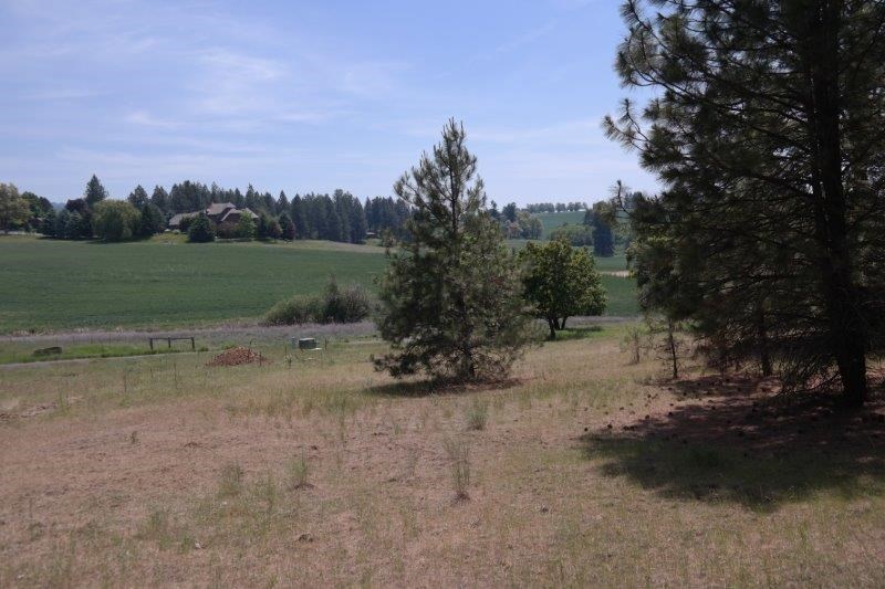 0 South Regal Road Spokane, WA 99223 - Photo 4 of 4