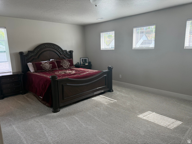 437 North 650 E Street Springville, UT 84663 - Photo 8 of 11 Spacious room featuring light gray walls, multiple windows with blinds, and plush gray carpeting
