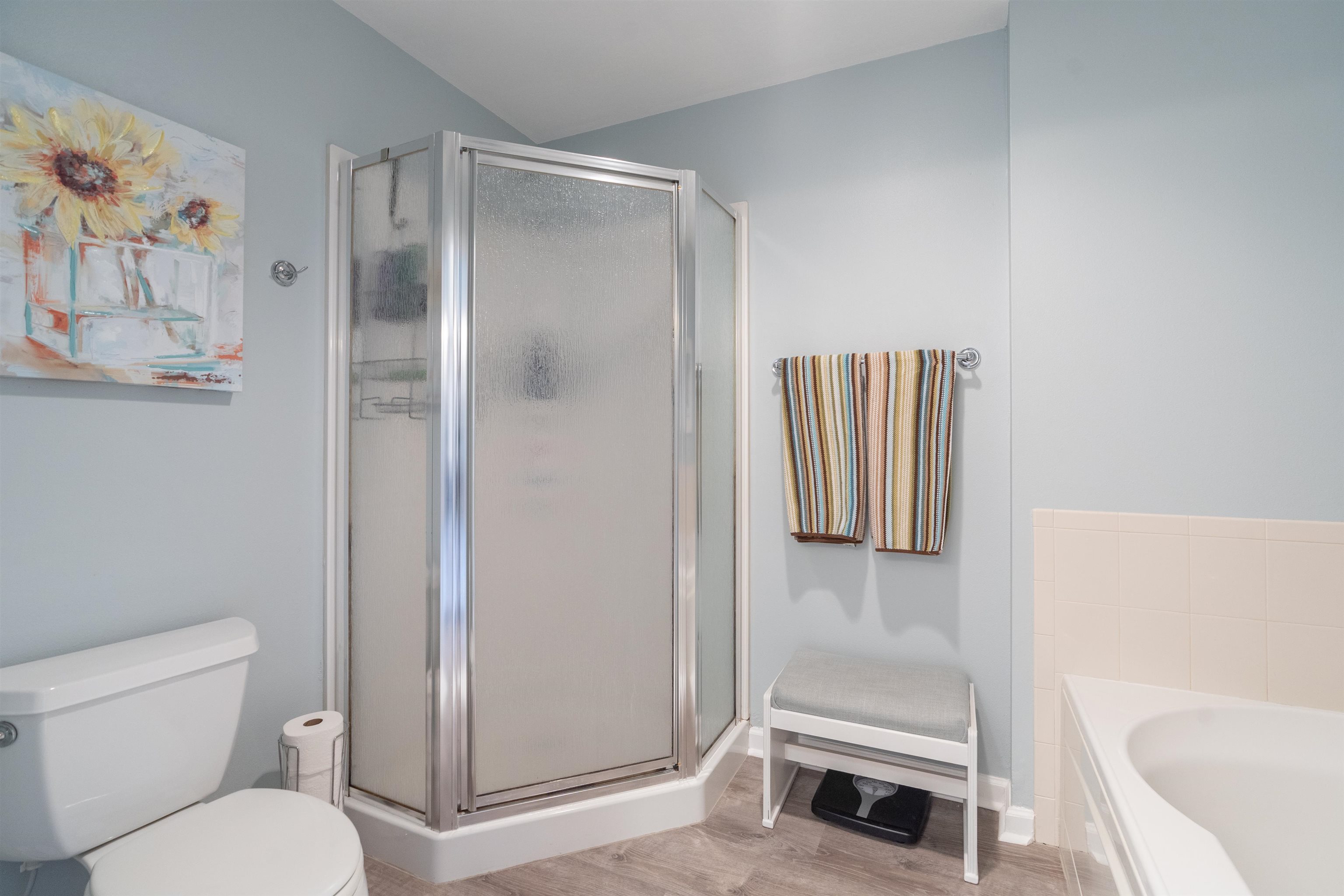 255 Atlantis Circle, Unit D202 St. Augustine Beach, FL 32080 - Photo 21 of 45 a bathroom with a shower and a toilet