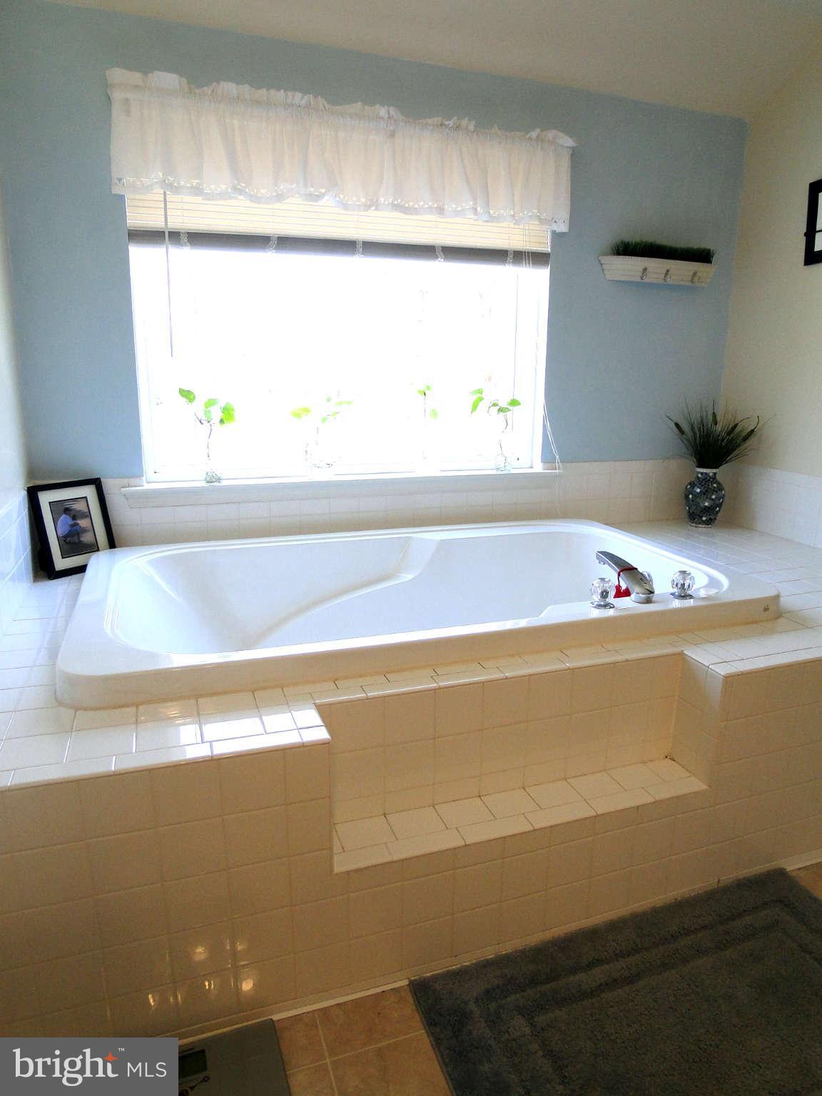 5680 Long Beach Road St. Leonard, MD 20685 - Photo 14 of 23 Bath (Master)