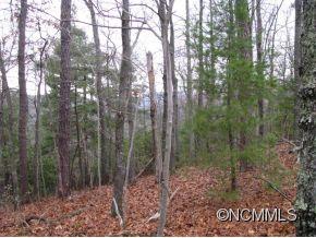 8 Maybank Road Saluda, NC 28773 - Photo 6 of 7 Gallery Image 6