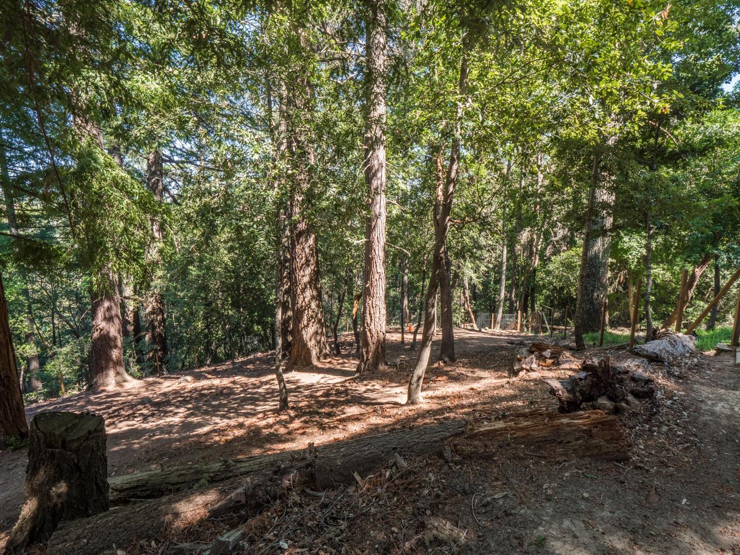 18635 Favre Ridge Road Los Gatos, CA 95033 - Photo 66 of 74 a view of a tree in the middle of a yard