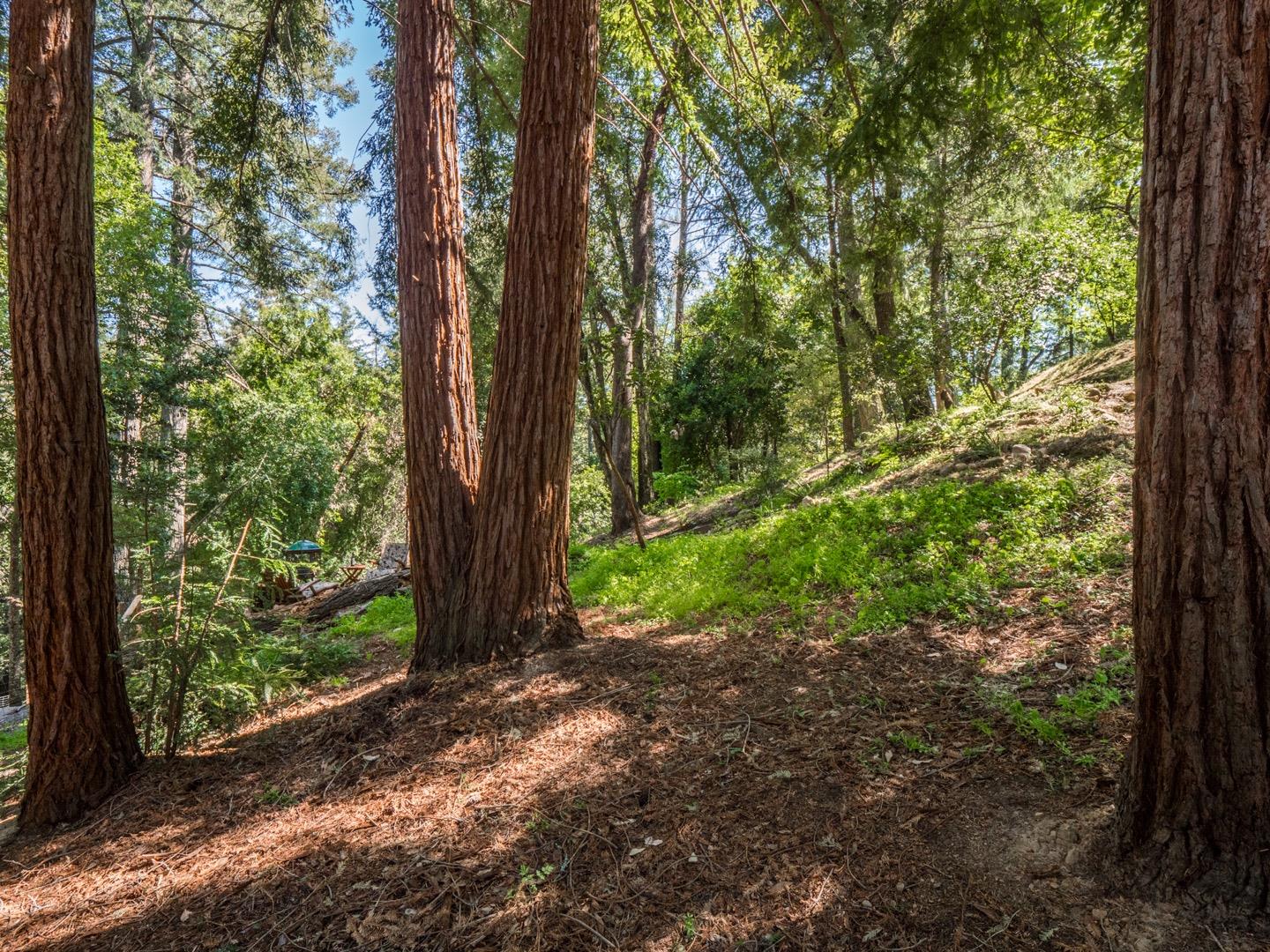 18635 Favre Ridge Road Los Gatos, CA 95033 - Photo 68 of 74