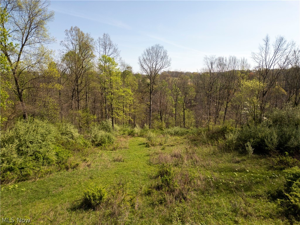 80960 Burkhart Road Tippecanoe, OH 44699 - Photo 21 of 50