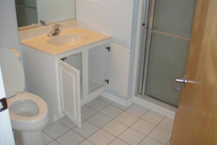 6238 West 26th Street, Unit 504 Berwyn, IL 60402 - Photo 8 of 8 a bathroom with a sink and a toilet