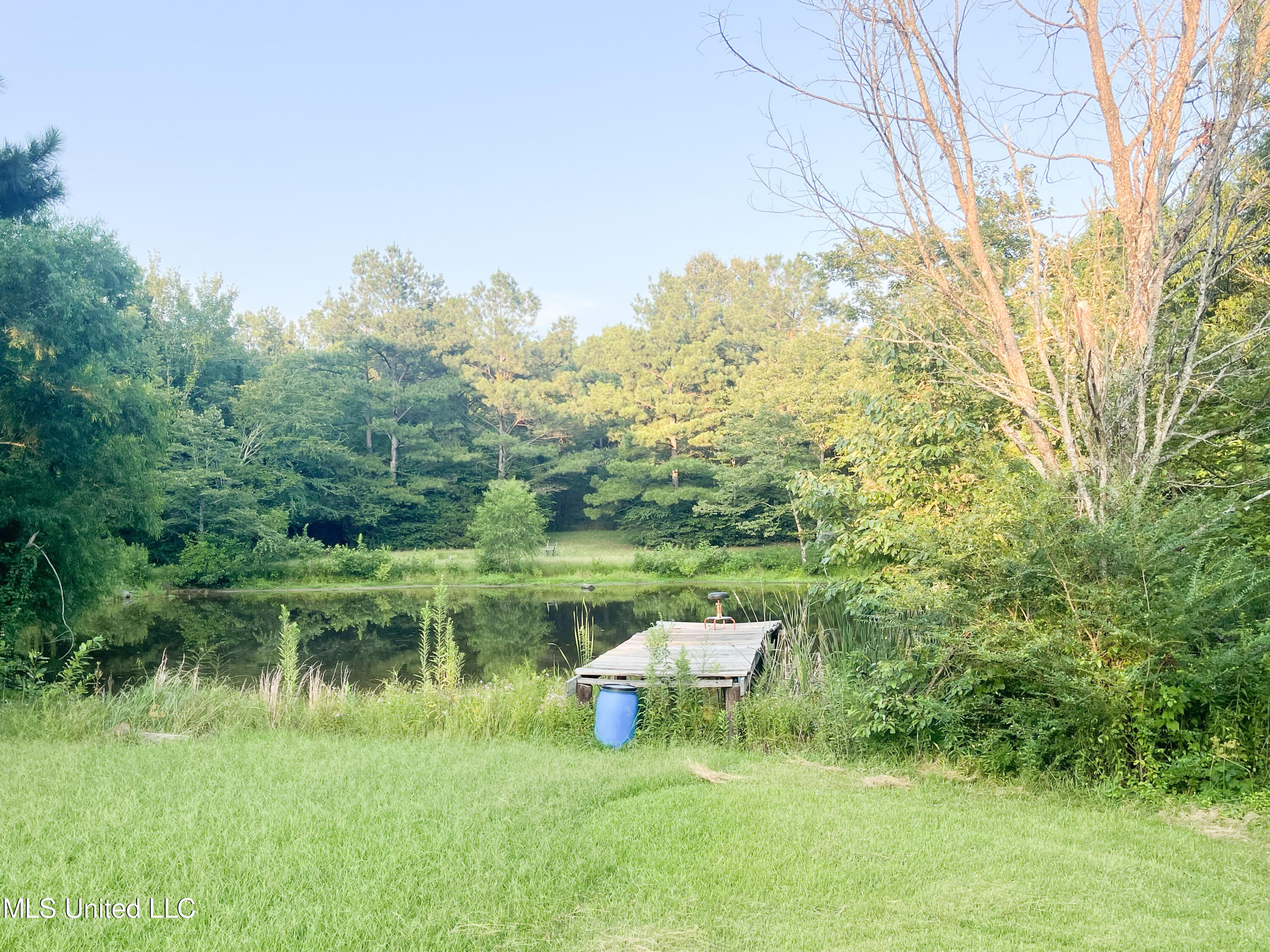 2216 Sycamore Road Coldwater, MS 38618 - Photo 13 of 14 Pond