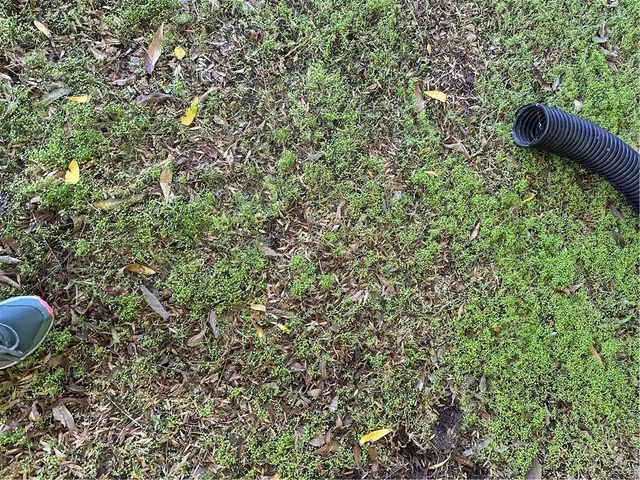 $119,000 | 4327 Camello Road, Woodland Hills, CA 91364