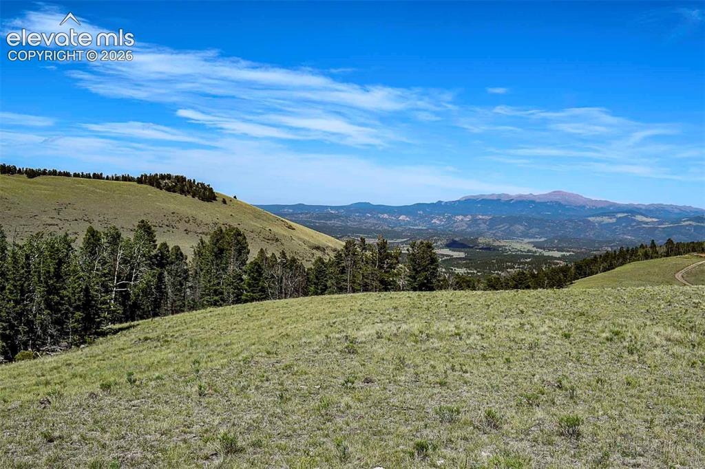 0 Bear Cat Road Guffey, CO 80820 - Photo 4 of 40