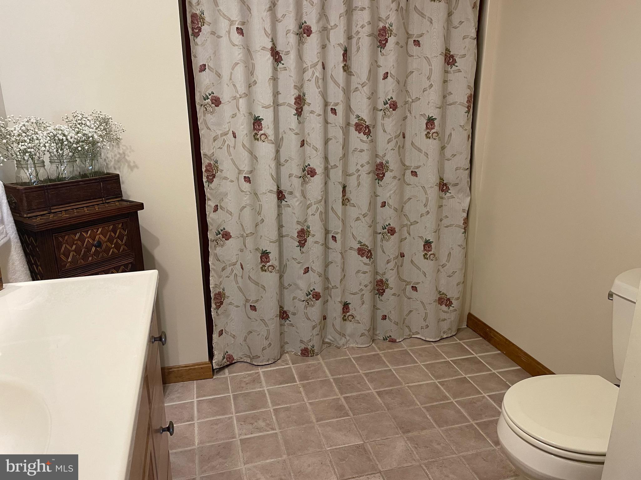 370 Carea Road New Park, PA 17352 - Photo 86 of 111 Shower/tub