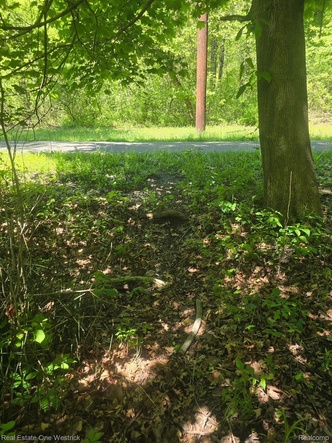 9236 River Road Algonac, MI 48001 - Photo 29 of 31 Path
