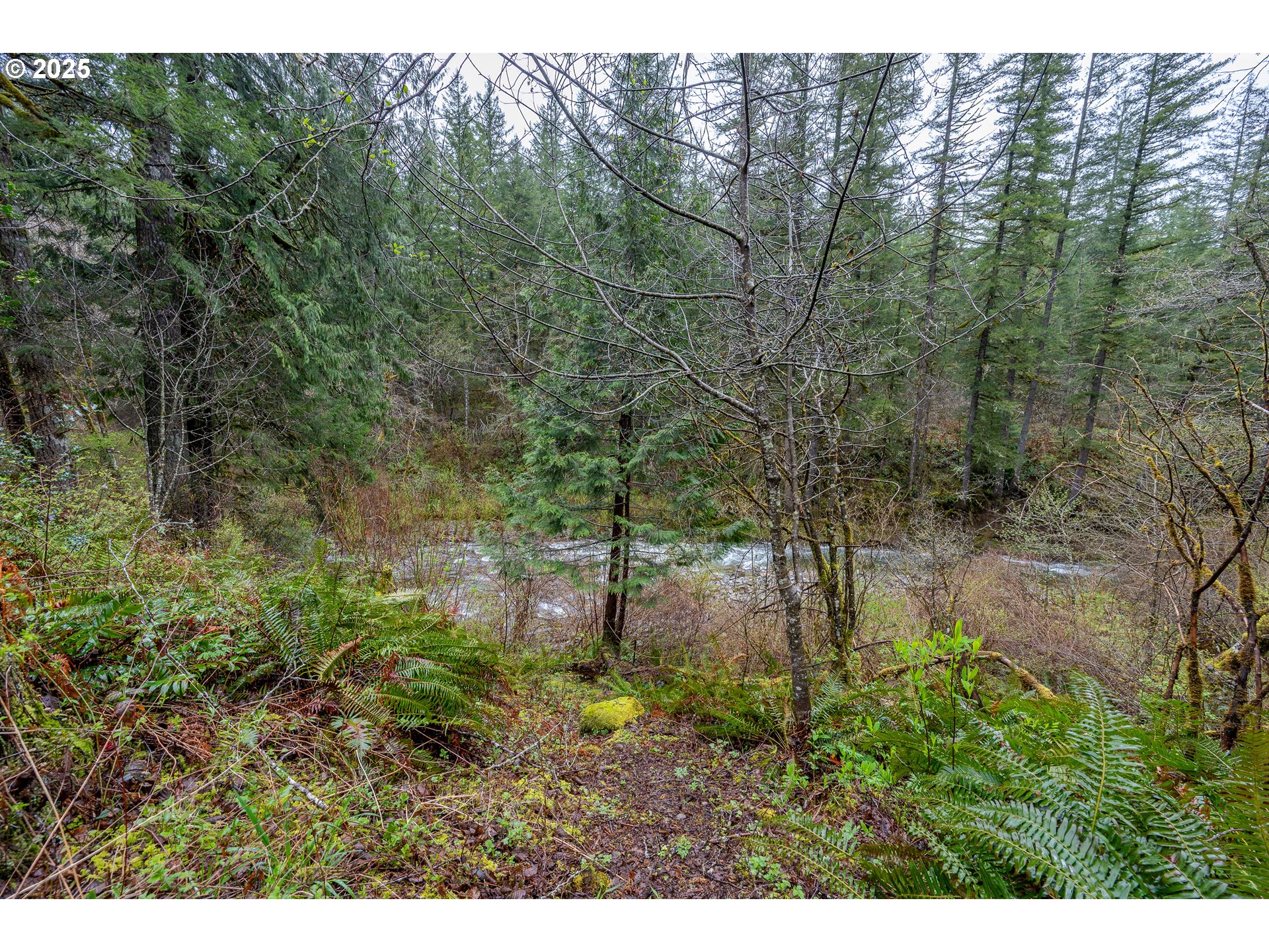 1261 Mathews Road Washougal, WA 98671 - Photo 30 of 42 a view of a yard